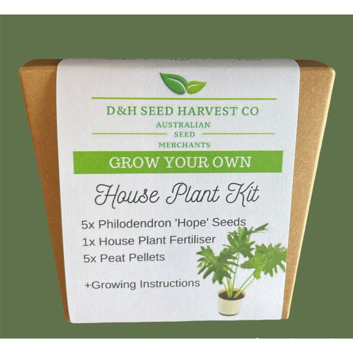 Philodendron 'Hope' House Plant Kit | Seed Gift Box