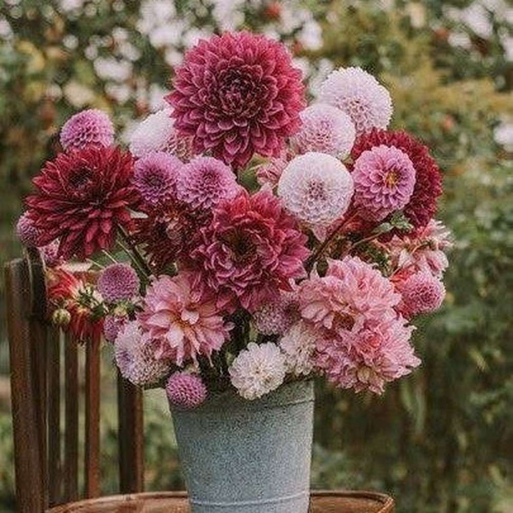 flower seed subscription The Seed Club *Flower Garden* Monthly Seed Subscription – D&H Seed Harvest Co