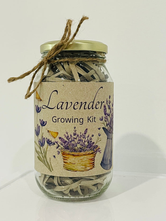 Lavender Growing Kit