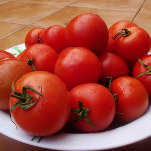 Tomato 'Indian River' Seeds