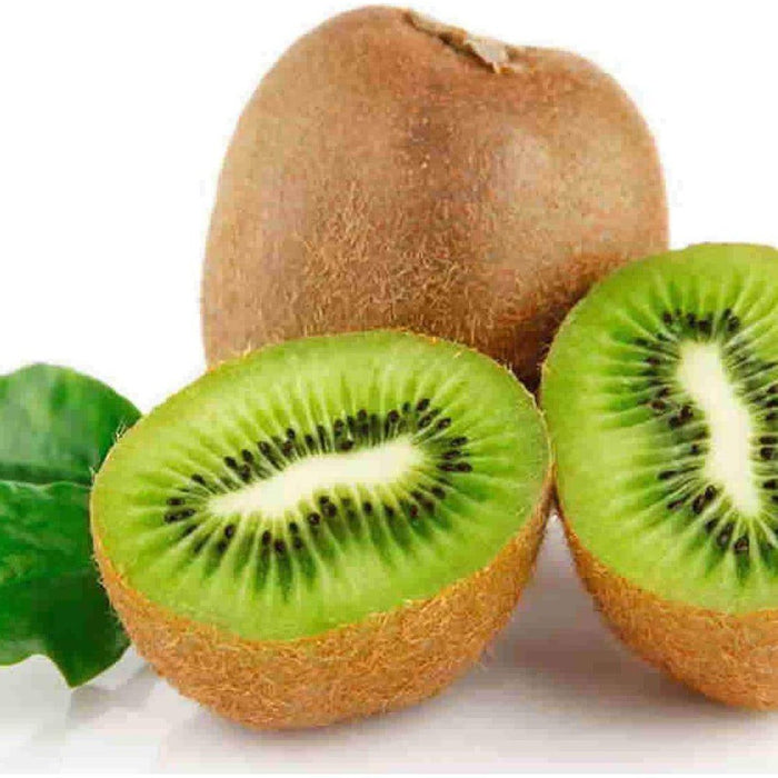 Kiwi Fruit 'Actina Chinensis Haywood'