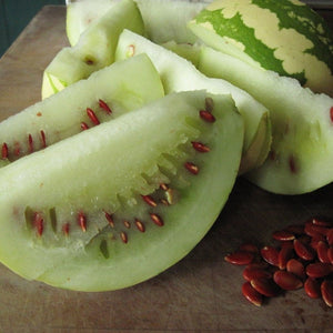 Preserving Melon 'Red Seeded Citron' Seeds