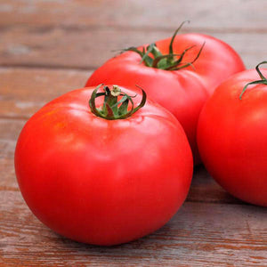 Tomato 'Prosperity' Seeds