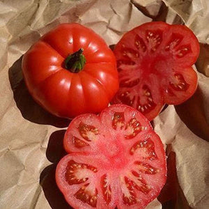 Tomato 'Rouge Marmande Regular' Seeds