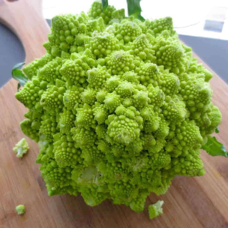 Broccoli Heirloom 'Green Romanesco' – D&H Seed Harvest Co