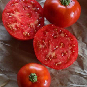 Tomato 'Saint Pierre' Seeds