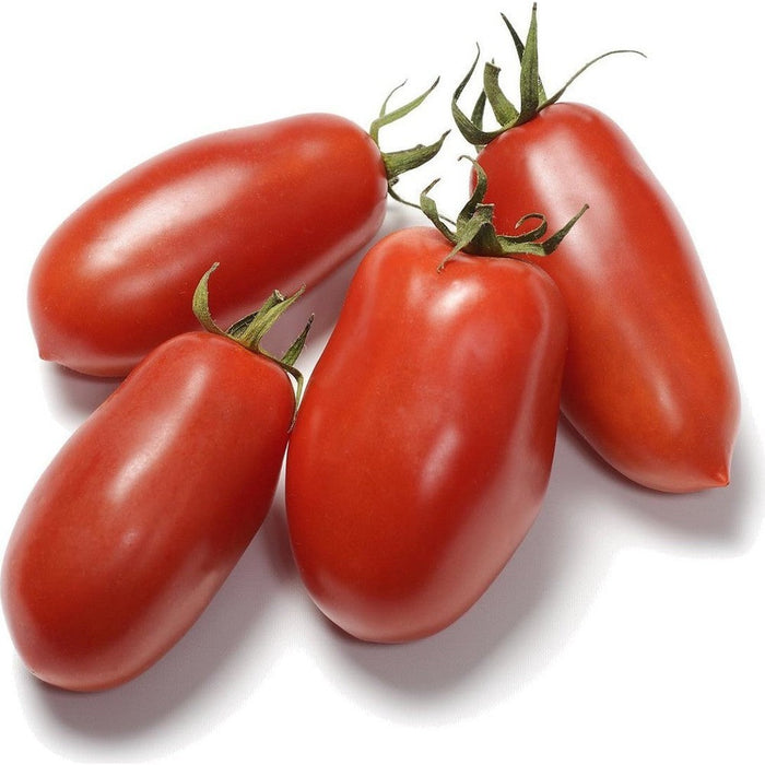 Tomato 'San Marzano' Seeds