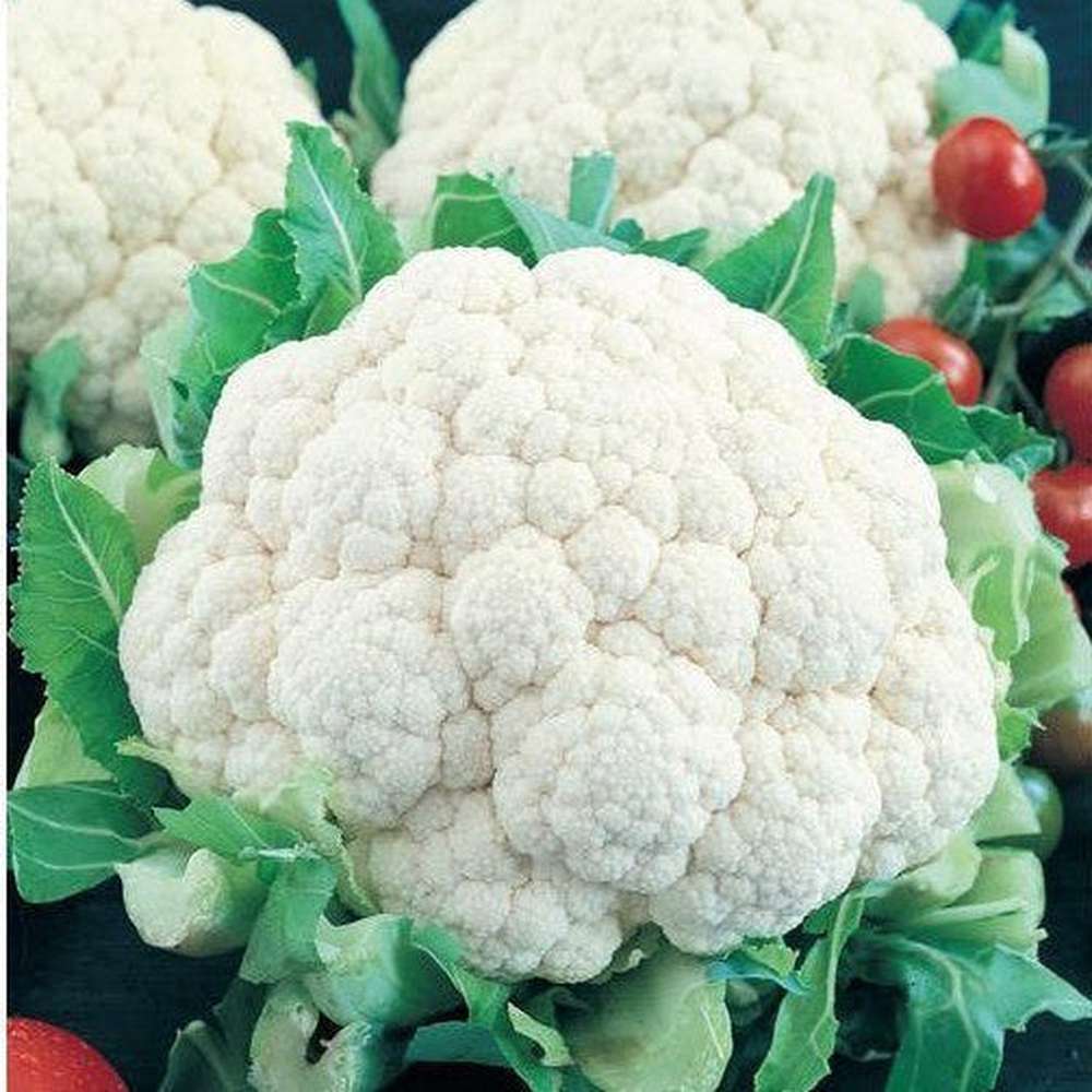 Cauliflower Snowball Early Seeds – D&H Seed Harvest Co