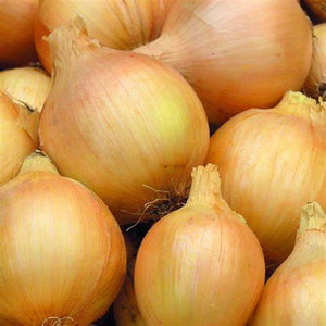 Yellow Onion 'Spanish' Seeds