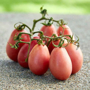 Tomato 'Thai Pink Egg' Seeds