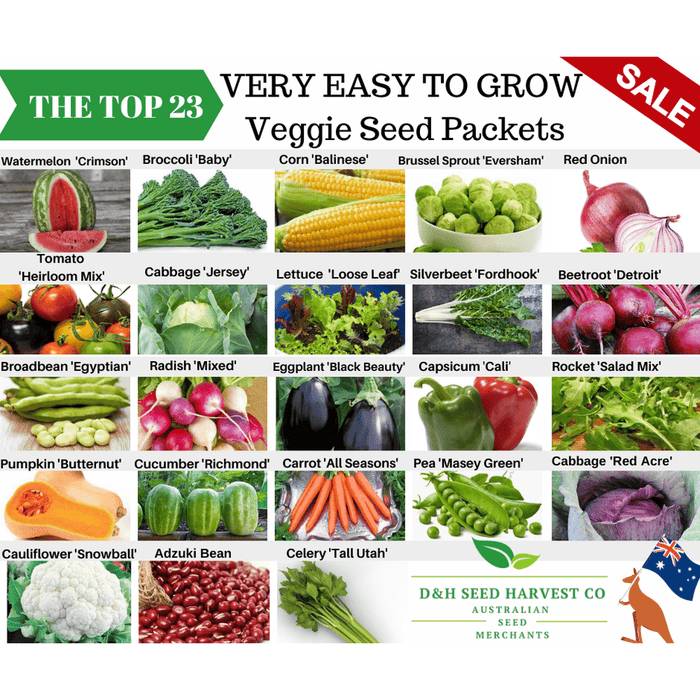 best vegetables to plant from seed The TOP 23 Very Easy To Grow Veggie Seed Packets – D&H Seed Harvest Co