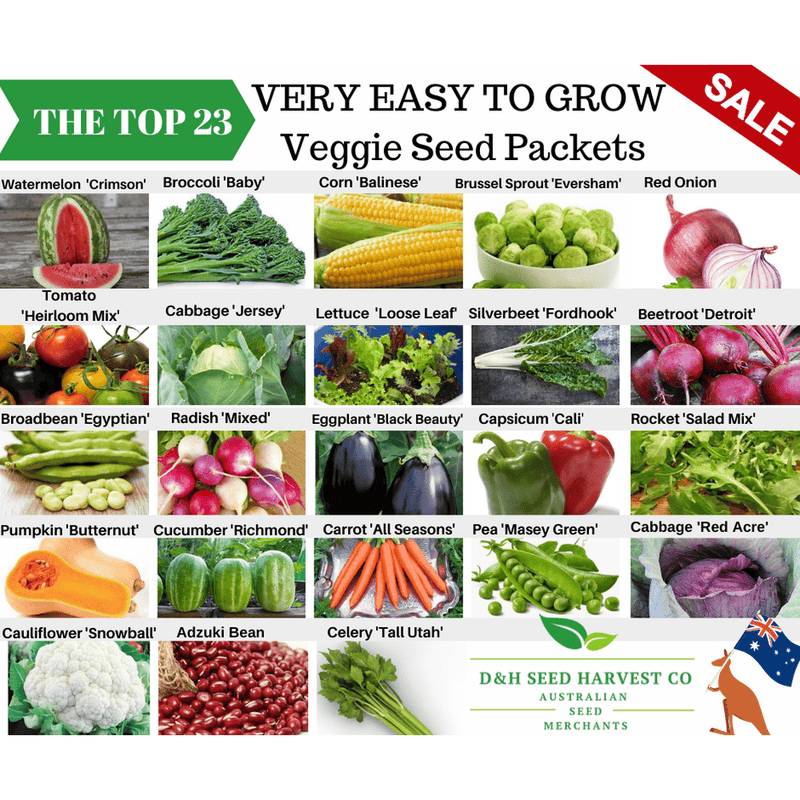 veggie seeds to plant now The TOP 23 Very Easy To Grow Veggie Seed Packets – D&H Seed Harvest Co