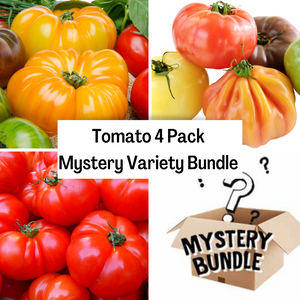 Tomato 4 Pack Mystery Variety Bundle