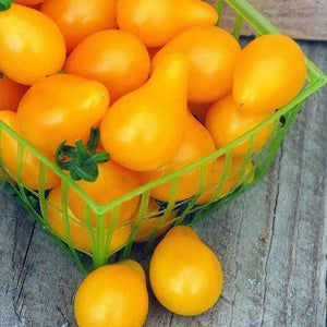 Tomato 'Yellow Pear' Seeds